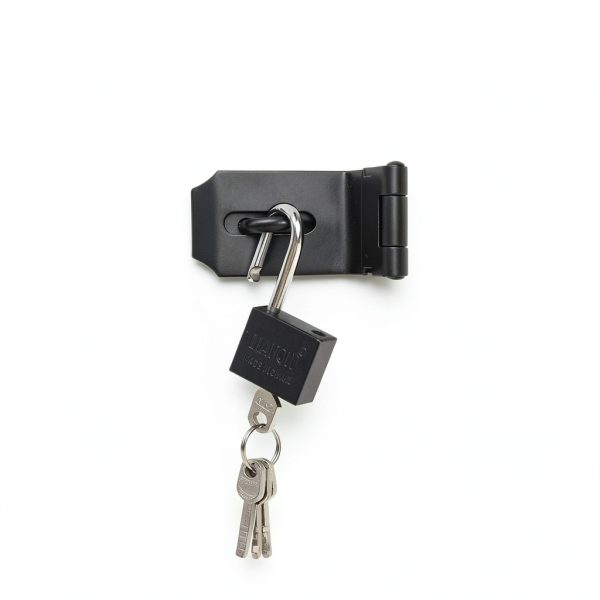 4 Inch 90° Padlock Hasps qiwuhai Stainless Steel Latch Lock with Keys-5