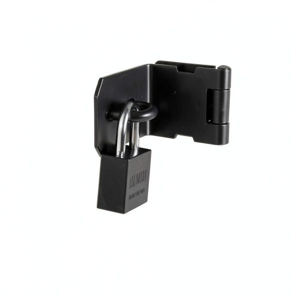 4 Inch 90° Padlock Hasps qiwuhai Stainless Steel Latch Lock with Keys-4